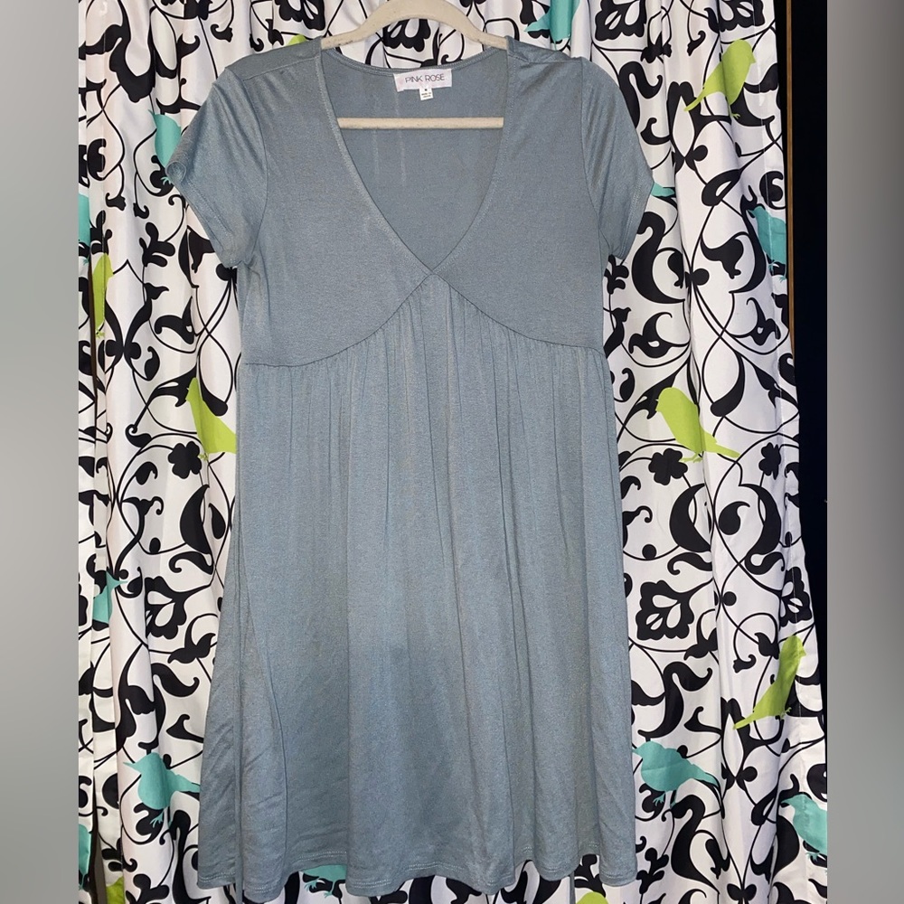 Pale Blue Pink Rose Dress